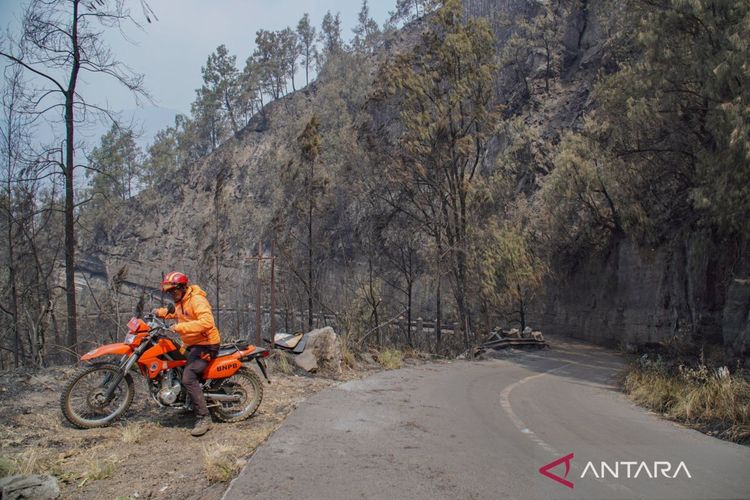 penutupan-akses-wisata-bromo-akibat-kebakaran-2838377.jpg