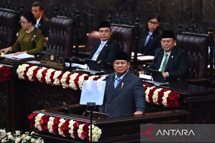 WhatsApp-Image-2026-08-14-at-15.42.45_1.jpeg
